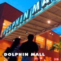 Dolphin Mall Shopping Excursion