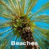 Beaches Tour